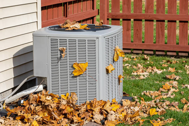 Best HVAC tune-up services  in Belleair, FL